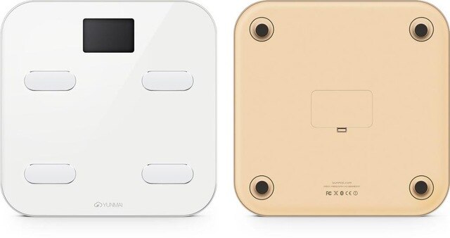 Smart Digital Body Fat Scale