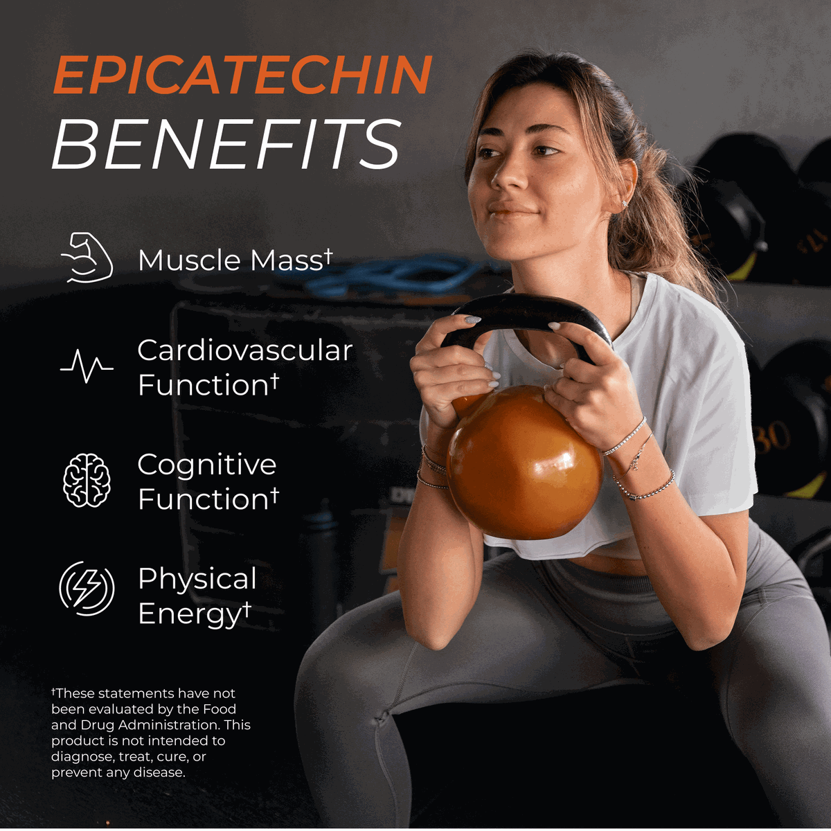 Epicatechin Natural Muscle Support Supplement Capsules
