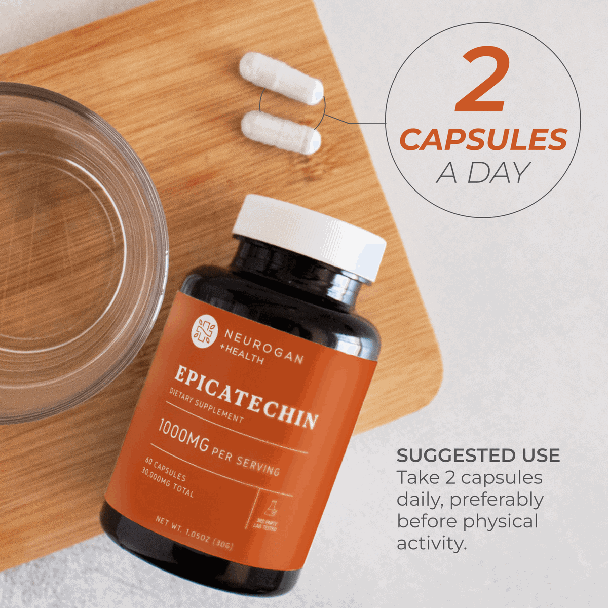 Epicatechin Natural Muscle Support Supplement Capsules