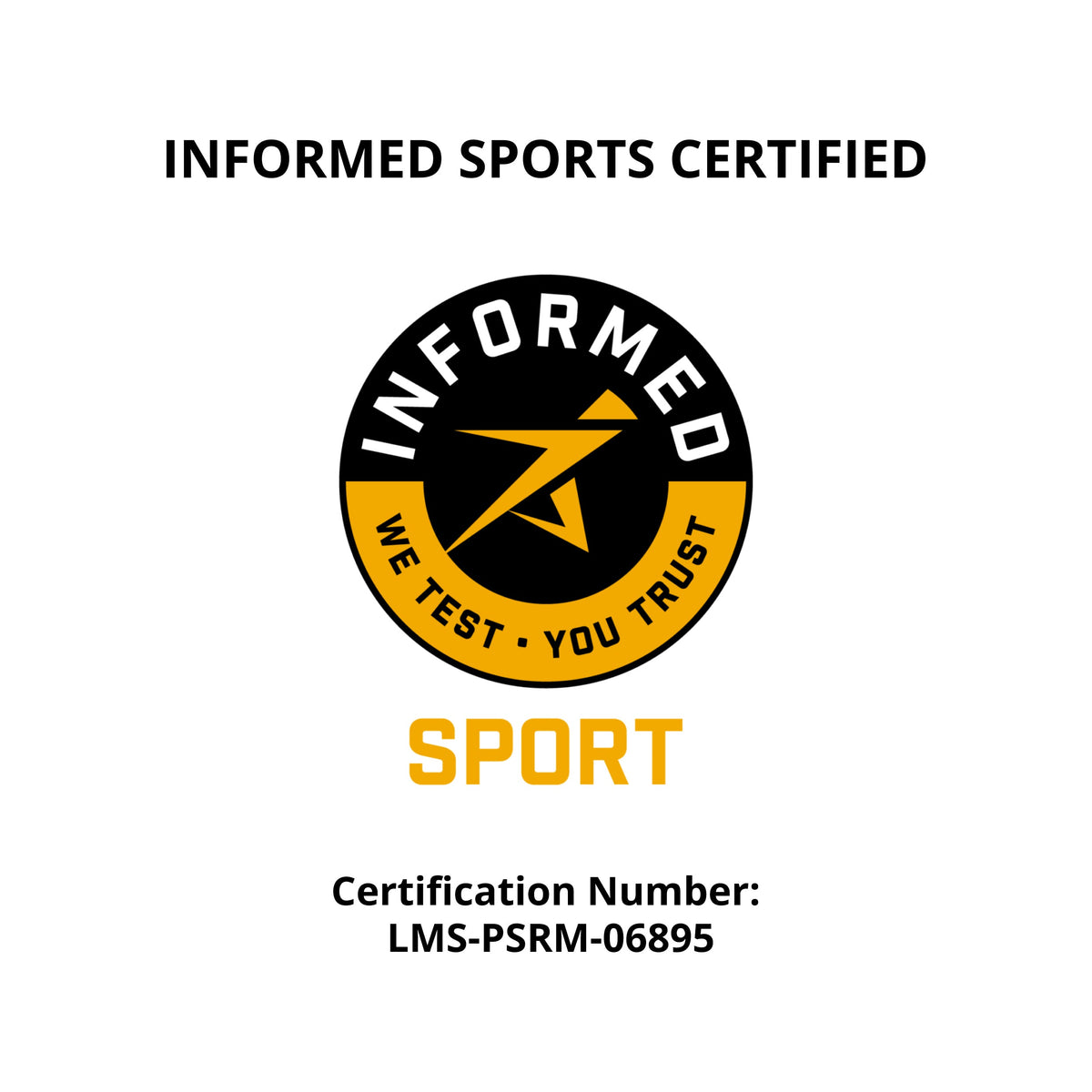 Plant Based Sport Protein Powder Supplement