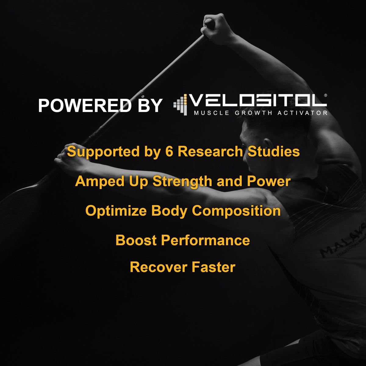 Plant Based Sport Protein Powder Supplement