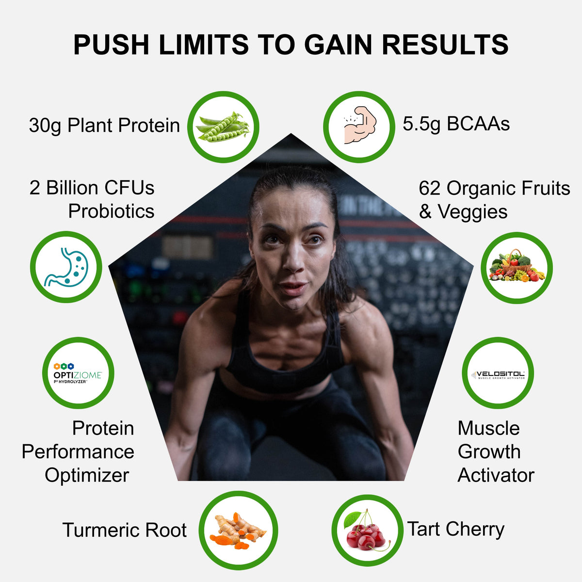 Plant Based Sport Protein Powder Supplement